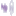 Prodigy波特鉅 Icon