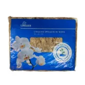 智利水苔(水草 ) - 1kg