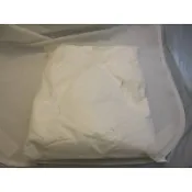 【油漆先生】 （免運費／含發票）分裝石膏粉（搭配批土用，不可食用）