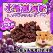 【香甜可口+愛不釋“口“】倉鼠零食 葡萄乾 小寵點心 小寵零食 水果乾 小動物水果乾 倉鼠葡萄乾 蜜袋鼯零食另售7.5g