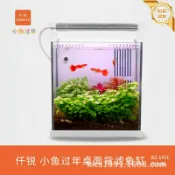和風選集 【桌面迷你缸】小魚缸 背濾魚缸 底濾魚缸 淡水缸 海水缸 桌上型魚缸 超白玻璃 仟銳BZ-145C 過年新品 靜音過濾 免打孔設計