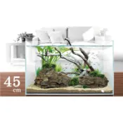 小郭水族-MR. AQUA水族先生【超白魚缸 45cm（45x27x30）1.5尺缸 】 45*24*29魚缸