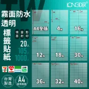 哇哇蛙居家生活百貨 有發票【A4 霧面防水半透明20入】TW型 龍德標籤貼紙 適用噴墨雷射影印 標籤紙 電腦標籤 台灣製 防水貼紙 透明貼紙