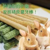 【🌿天然牧草】倉鼠磨牙棒 兔子草餅 金絲熊零食 豚鼠飼料 耐磨潔齒餅乾 寵物營養糧食 助消化 小寵專用 健康零食