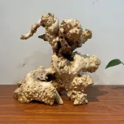 【免運到付 下單請先諮詢】香杉樹瘤#風化枯木木料玄關空間禪意根鵰樹瘤木料擺件個性化擺件
