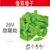 【小美紀】優質種子(園藝植作)甜羅勒 26V 種植 種子 種苗 土壤 蔬菜 園藝 種菜 菜園 香料 花盆 盆栽 培養土