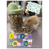 ☆小寵當家☆ 防潑灑食盒 小寵飼料盒 掛碗 盧丁雞飼料盒 鸚鵡飼料盒 九官籠 鍍鋅籠