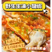 【阿珠媽海產】【整尾的】野生龍蝦 大龍蝦 生凍龍蝦 野生生凍龍蝦 小青龍 龍蝦 青殼龍蝦