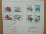 ▼----帶紀念戳郵折---T162-----杜鵑花郵票---1991年------▼--雙僅一套