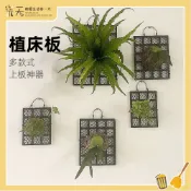 【台灣現貨】植床板 鹿角蕨上板 苗床 鹿角蕨板 植物板植物框 上板神器 塑膠植物板透氣板 蕨類石斛蘭花均可 含螺絲掛鉤