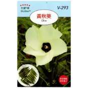 (店+)【天橙種子】黃秋葵種子 Okra  瓜果種子 天星牌 穗耕種苗 彩色原包裝