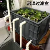 （可開發票）沼澤過濾盒周轉箱魚缸魚池龜缸龜池沼澤過濾自製DIY龜箱過濾器（滿額免運）