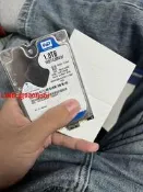 西數 東芝 500GB 1TB 2TB 行動硬碟