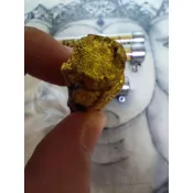 龍普布/龍普碰 迷情藤魅力符管