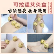 ﹝灸居﹞艾灸壺艾灸盒 艾柱粒專用灸具 便攜式隨身灸 家用燻蒸儀