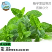 🍃【台灣農家老品種】食用薄荷種子 香草植物 盆栽食材 陽台菜園 廚房香料 可泡茶提味 居家植栽 四季易種 新鮮採收