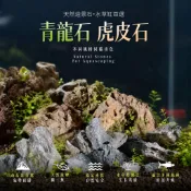 造景石【青龍石 虎皮石】石頭 自然石 天然洞石 魚缸造景 水族箱裝飾 園藝 造景 天然洞石 魚缸造景 石 自然石