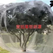 🔥【台中發貨】加厚 防蟲網罩 防蟲網 果樹防鳥 果樹防蟲網 棚楊梅網罩 櫻桃防鳥網 多肉綠植蓮霧農用防蟲網養殖廠 紗網
