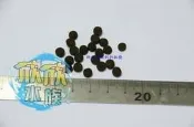 ▲欣欣水族▼AN12 工廠直營品質保證 KH高品質底棲 異型 魟魚 錦鯉 花羅漢用沉底飼料 100克