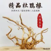 天然杜鵑根棲根紫柚木沉木魚缸樹枝樹根造景