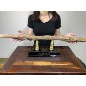 阿一藝品 頂級越南芽莊沉香木【沉香擺件】沉香柱 高品質 油脂豐富 甘甜韻味 沉穩醇香  修身養性 供佛香品 B61