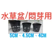 水草網盆 20入 工廠直營 量多聊聊 水族/悶芽/悶根/苗圃/多肉 觀葉/蕨類植物用