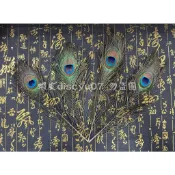 【東天佛俱】天然孔雀羽毛材料 神尊可用 手工藝材料  DIY羽毛材料 原住民材料 阿美族花帽用羽毛