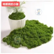 台灣出貨✨仿真苔蘚人造草坪 微景觀草皮地毯 庭園裝飾假草皮 造景材料