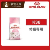 (店+)【ROYAL 法國皇家】K36 幼貓專用飼料 10KG ｜貓乾糧  貓飼料 免疫力 腸胃 皇家貓飼料