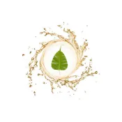 【順億化工】法國 菩提樹萃取液 30g 100g 菩提樹 萃取液 提取液【DDD】