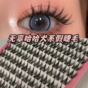滿99出貨 十排大容量犬系假睫毛芭比大眼娃娃感單簇分段式睫毛新手三部曲【蕭妞實業】
