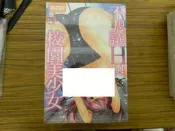 成人漫畫D ~ 不可思議H與超淫校園女孩  (新視界出版) 全新庫存 ~可合併運費