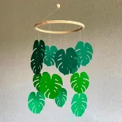 嬰兒移動葉子，熱帶苗圃移動，龜背竹葉子移動，葉子移動