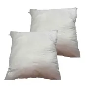 【J&N】台灣製抱枕心60*60-850克(2入/1組)