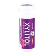 【日藥本舖】LOTTEXYLITOL木糖醇無糖口香糖-藍莓薄荷(迷你瓶)26.1g