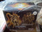 聖鬥士星矢~聖衣神話 EX黃金魂~神聖衣~水瓶座 (代理商初版)