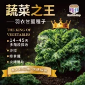 羽衣甘藍種子--捲葉邊形，生長速度快~沙拉、涼拌生食，或嫩菜採收打綠拿鐵果汁--園藝倉庫