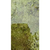 妞妞花園 水族 水草 烏拉草 挖耳草 8x8cm散裝 150元