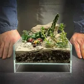 荒原之生 / 客製化微景觀開放生態缸 / 龜紋石