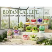 【小全積木】彩色多肉植物盆栽積木 仿真仙人掌微縮綠植模型 馬卡龍石蓮花免澆水多款可選 拼裝積木 多肉積木 辦公室療癒