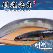 明湖海產-口湖在地白鰻片370g起/生白鰻/裸鰻/真空包裝/烤白鰻/藥膳鰻魚