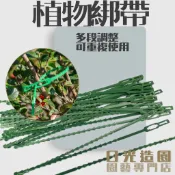 植物魚骨綁帶 植物束帶 可調式束帶 植物固定 綁帶 蔓綠絨 天南星 觀葉植物 瓜果爬藤 植物牌 植物綁帶
