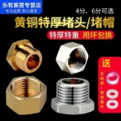 威吉優品 水管配件 接頭 全銅加厚4分6分內絲外絲堵頭堵帽四分6分水管悶頭管堵管帽銅堵頭