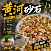 【大欣植栽行】出貨就是快 質感石 黃河砂石 裝飾盆景石、黃河砂石、造景石、水族底砂、造景石、裝飾石、園藝石頭   多肉