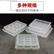 一次性帶蓋餃子盒｜透明加厚商用分格托盤 速凍水餃收納盒 外賣打包盒 餃子館冷凍儲存防壓防漏 餃子盒