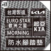 EURO STAR 歐洲之星 MORNING 汽車 防水 腳踏墊 地墊 腳墊 踏墊 蜂巢 蜂窩 KIA 起亞