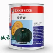 原包裝 1/2磅 日本愛碧斯栗子南瓜種子 約1125粒 愛碧斯栗子南瓜種子 愛碧斯栗南瓜種子 南瓜種子 日本栗子南瓜種子