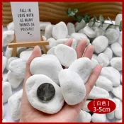 白鵝卵石 1顆３元 石雨花石 黑膽石 多肉土 泥炭土赤玉土田土花土煉石壤土造景 神經病水草水族