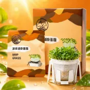 附發票 源杏 濾掛式苜蓿 10包盒裝禮盒 精心挑選優質種子 DIY 辦公室 桌面 生態 果蔬 植物 交換禮物🌻寵物巿集🌻