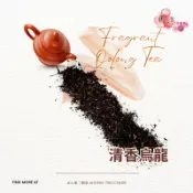 【正心堂】清香烏龍 600公克 烏龍茶 茶葉 營業用 手搖茶 大包裝 咖啡廳 飲料店 紅綠青烏 早餐茶 早餐店茶飲 餐飲